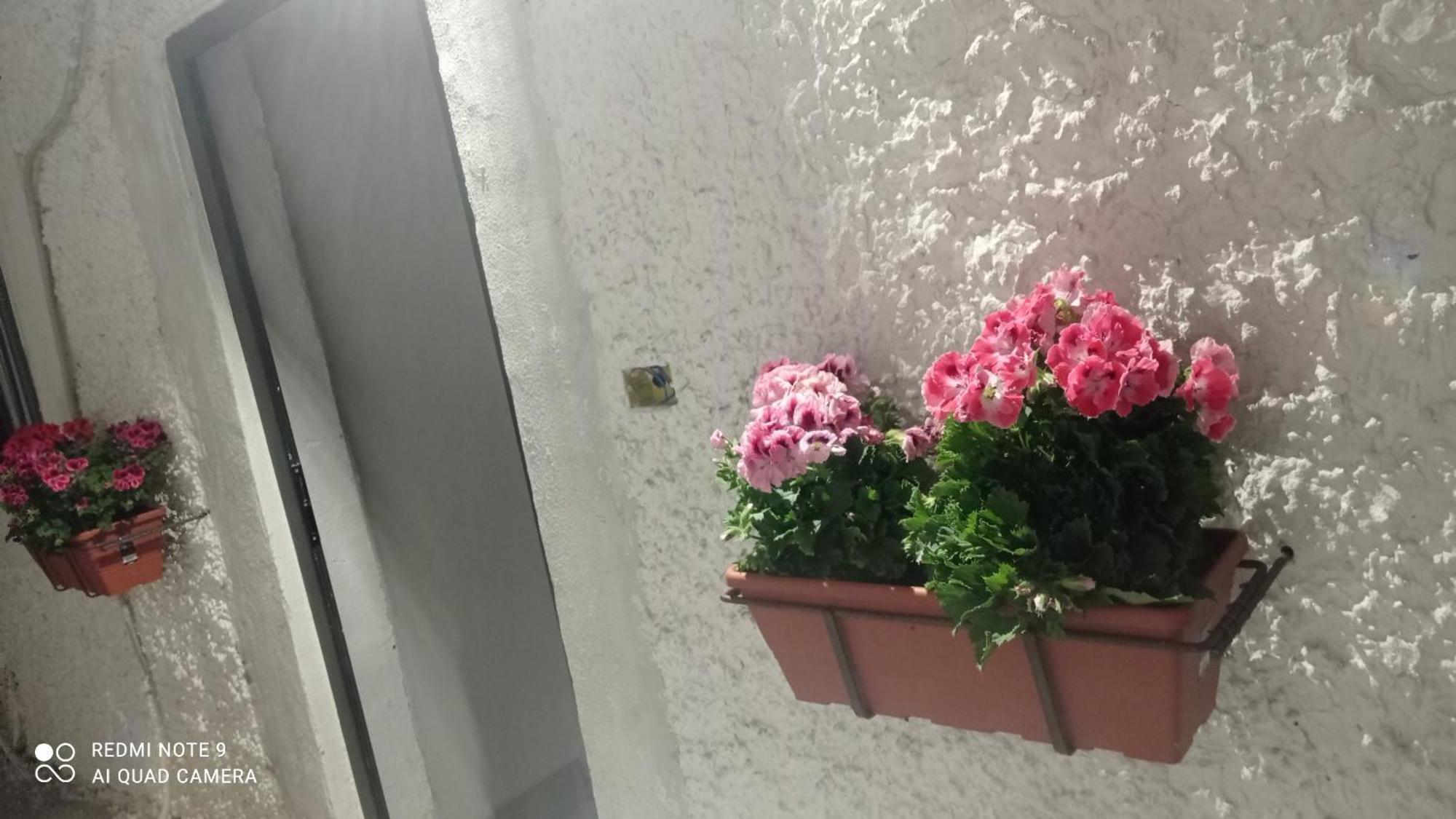カターニア Ortensia C Houseヴィラ エクステリア 写真